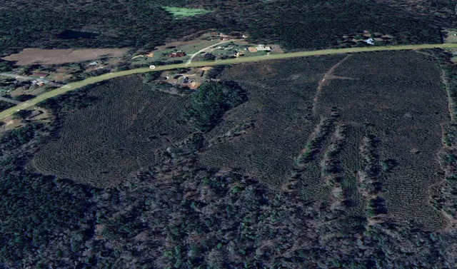 a view of a yard with a yard