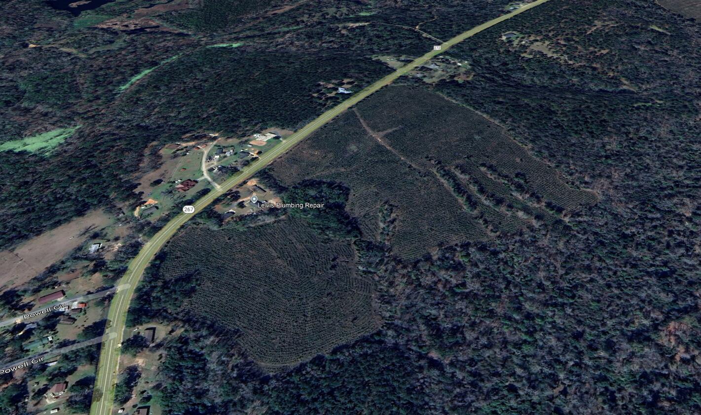 0 Bainbridge Rd Highway Quincy, FL 32352 - Photo 9 of 12 a view of a yard with plants