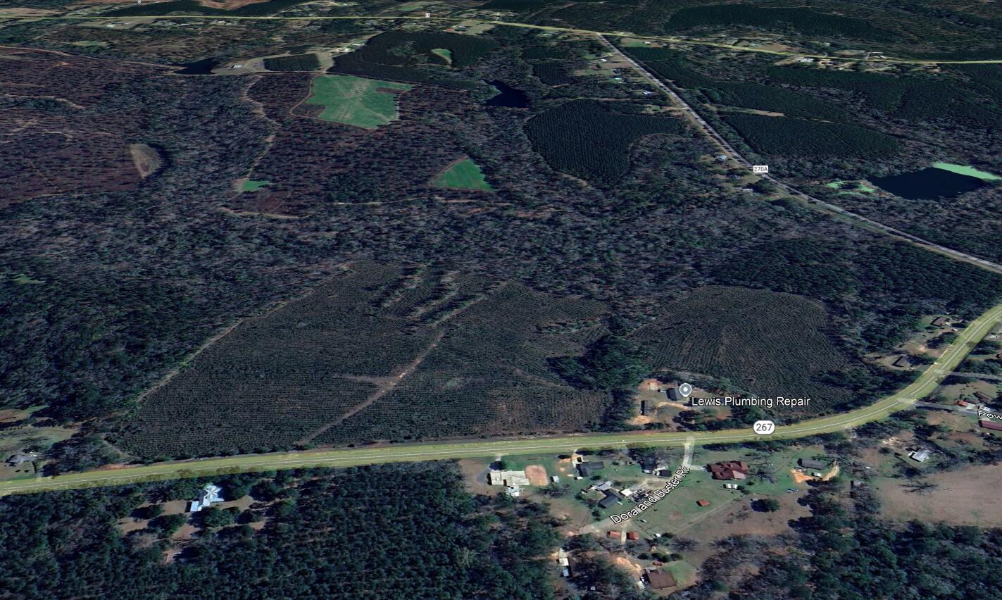 0 Bainbridge Rd Highway Quincy, FL 32352 - Photo 10 of 12