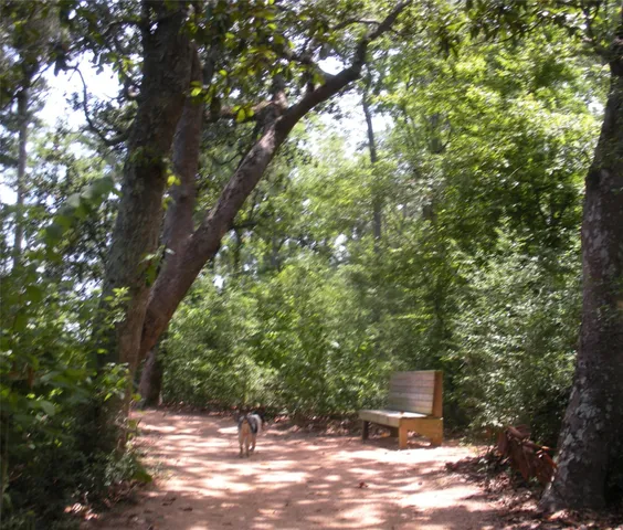 a view of a outdoor space