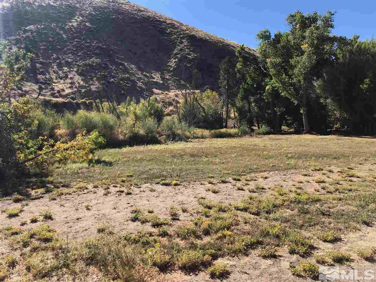 22864 Conestoga Circle Reno, NV 89521 - Photo 3 of 9 a view of a yard with a tree