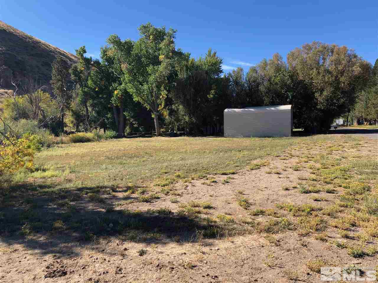 22864 Conestoga Circle Reno, NV 89521 - Photo 9 of 9 a view of a yard with a tree
