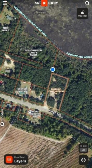 0 Briar Patch Road Southeast, Unit 16 Townsend, GA 31331 - Photo 5 of 6