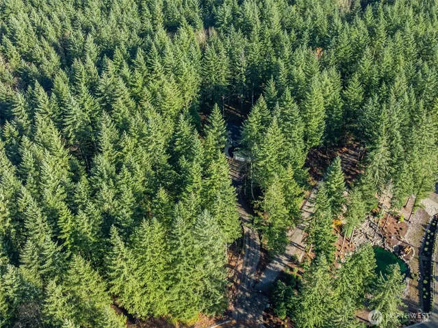 a view of a lush green forest