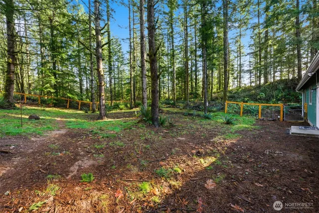 a view of a park with large trees