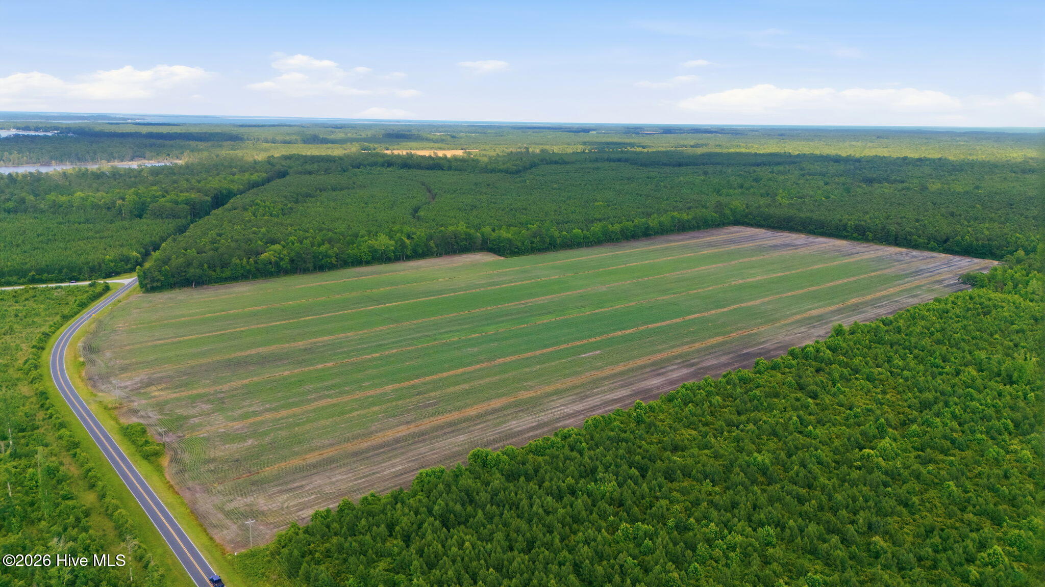 N/a Florence Road Merritt, NC 28556 - Photo 3 of 5