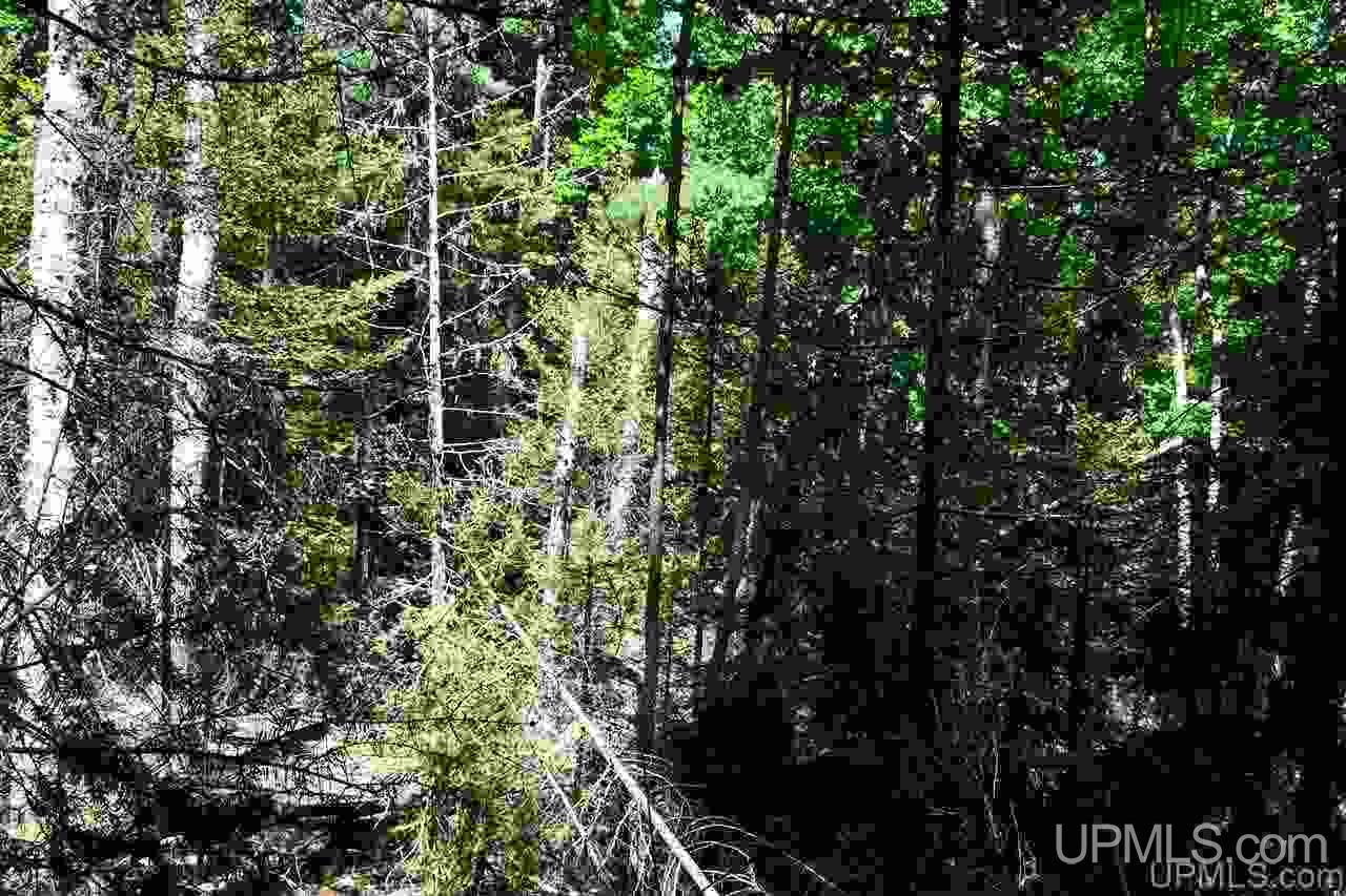 1125 Cooper Lake Road Ishpeming, MI 49849 - Photo 9 of 32