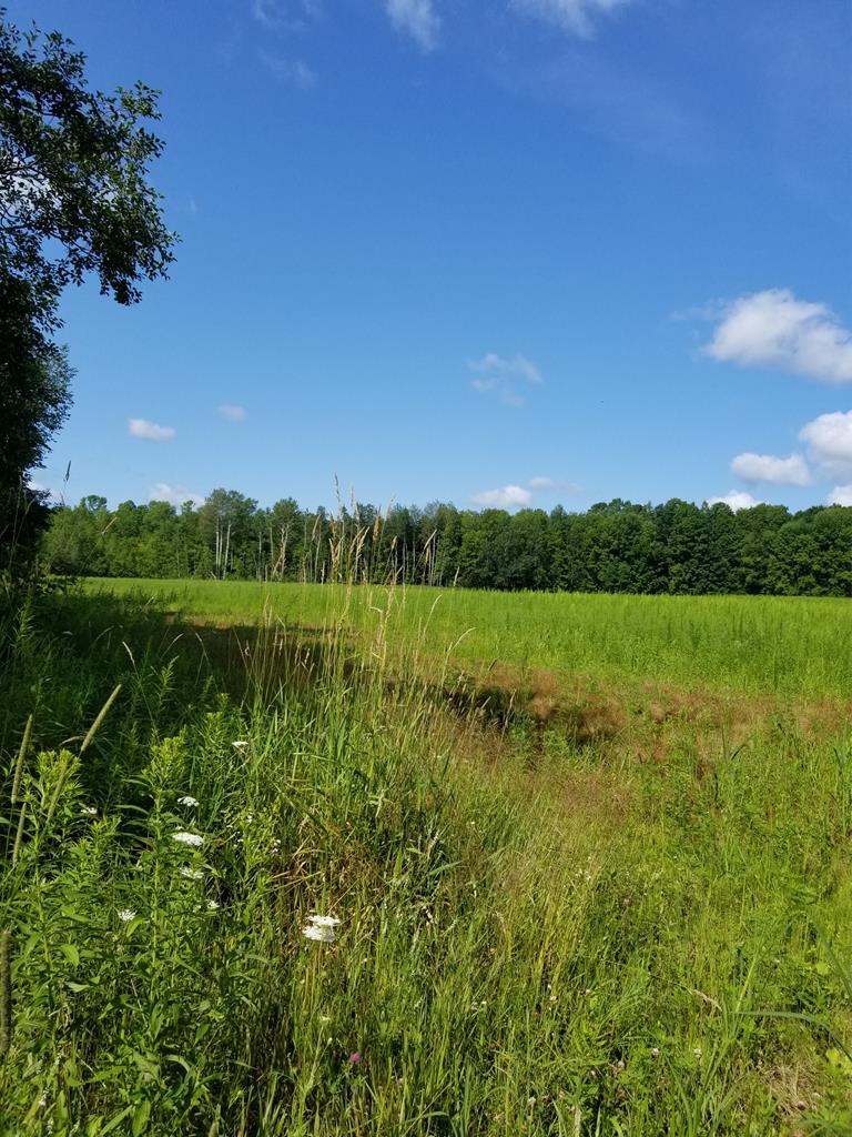 Lot A Sampson Road Abrams, WI 54101 - Photo 1 of 2