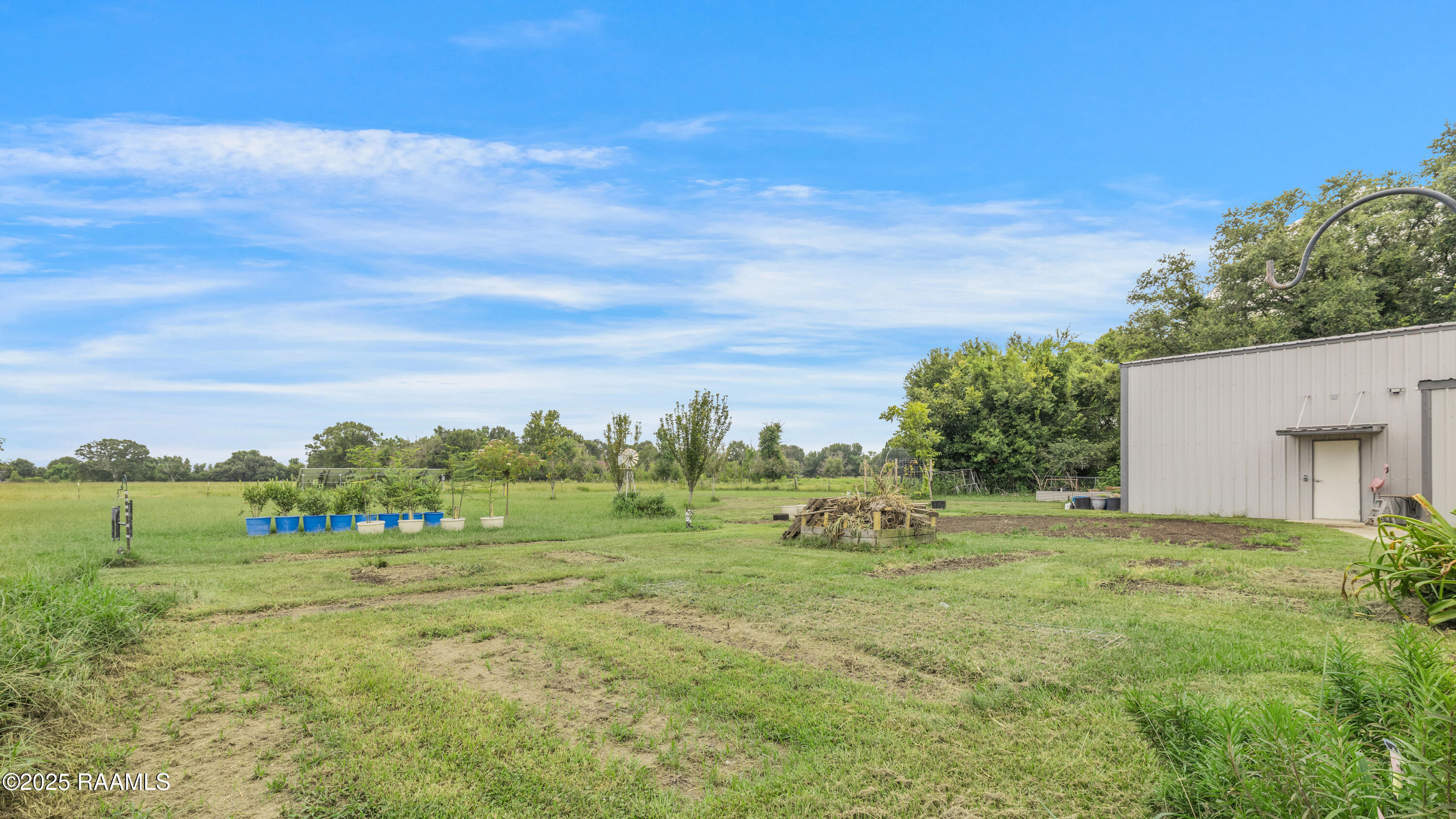 321 Rue De La Vache Road Scott, LA 70583 - Photo 22 of 25 1 Acre