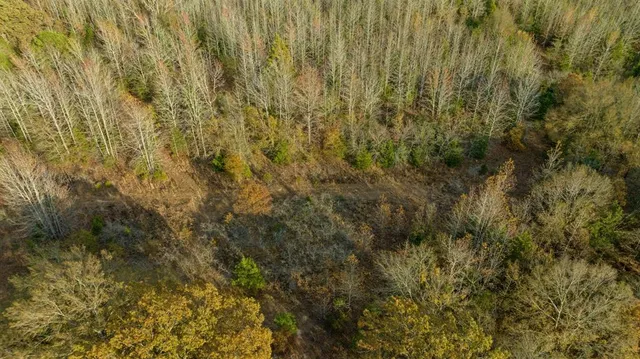 $114,900 | 1440 Bogata Tx 75417, Bogata, TX 75417