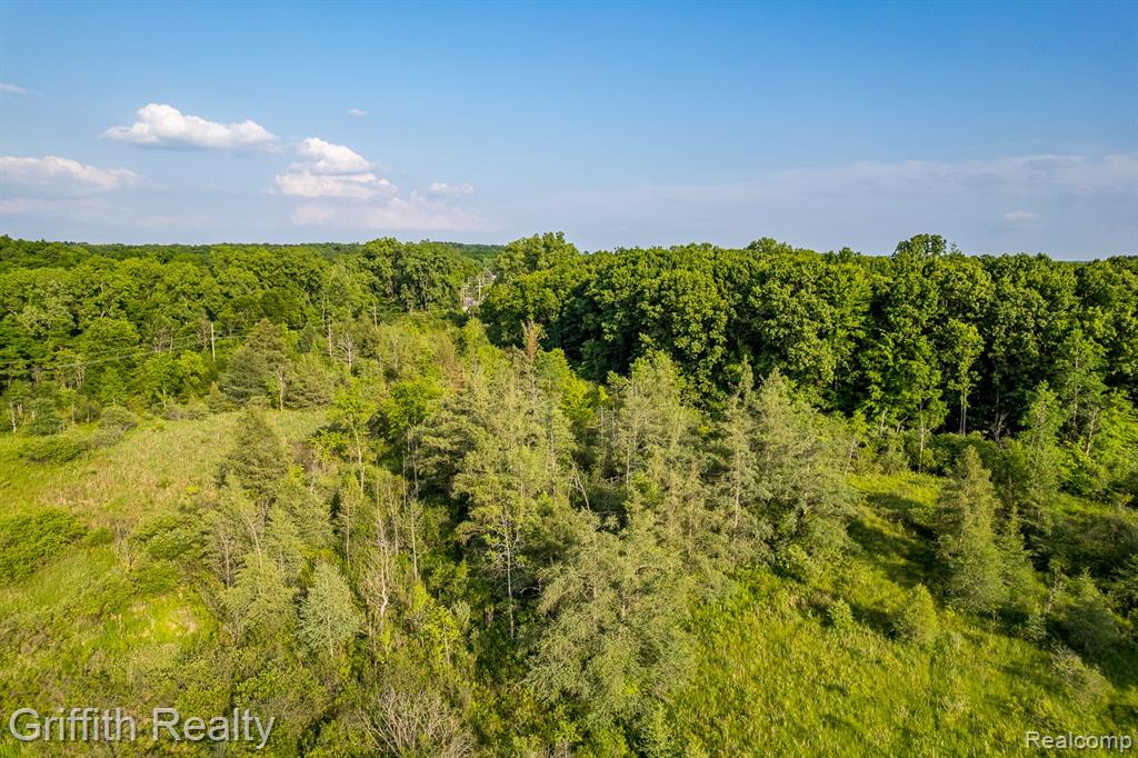 4433 Brighton Road Howell, MI 48843 - Photo 7 of 29