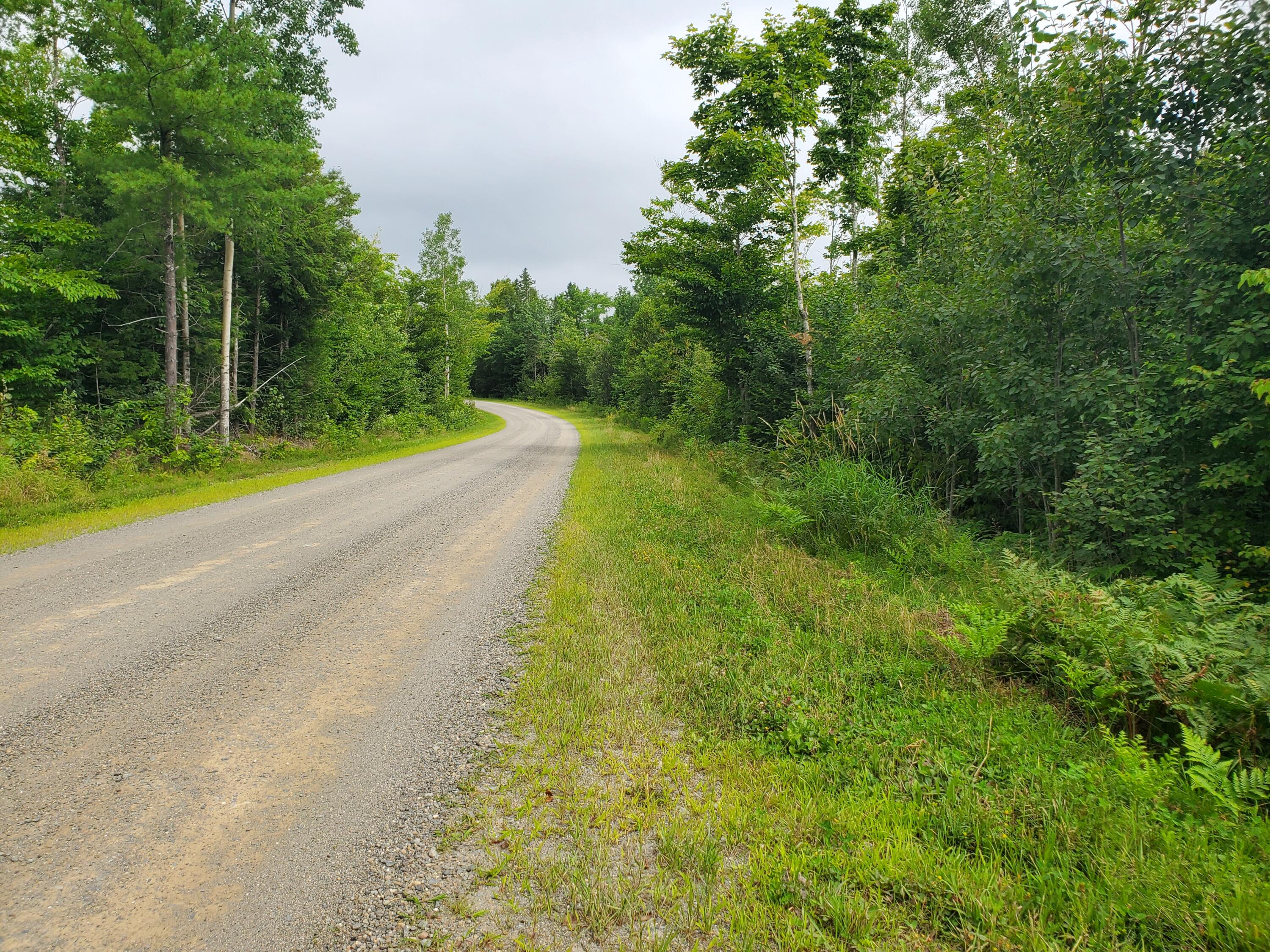 60 Osgood Road Carroll Plt, ME 04487 - Photo 12 of 15 20240729_100630