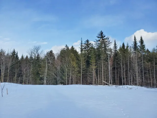 $89,900 | 60 Osgood Road, Carroll Plt, ME 04487