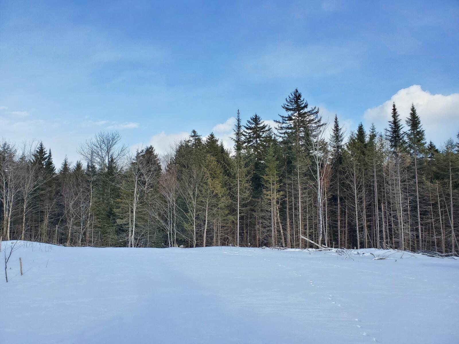 60 Osgood Road Carroll Plt, ME 04487 - Photo 13 of 15 Resized_Resized_20200228_151822