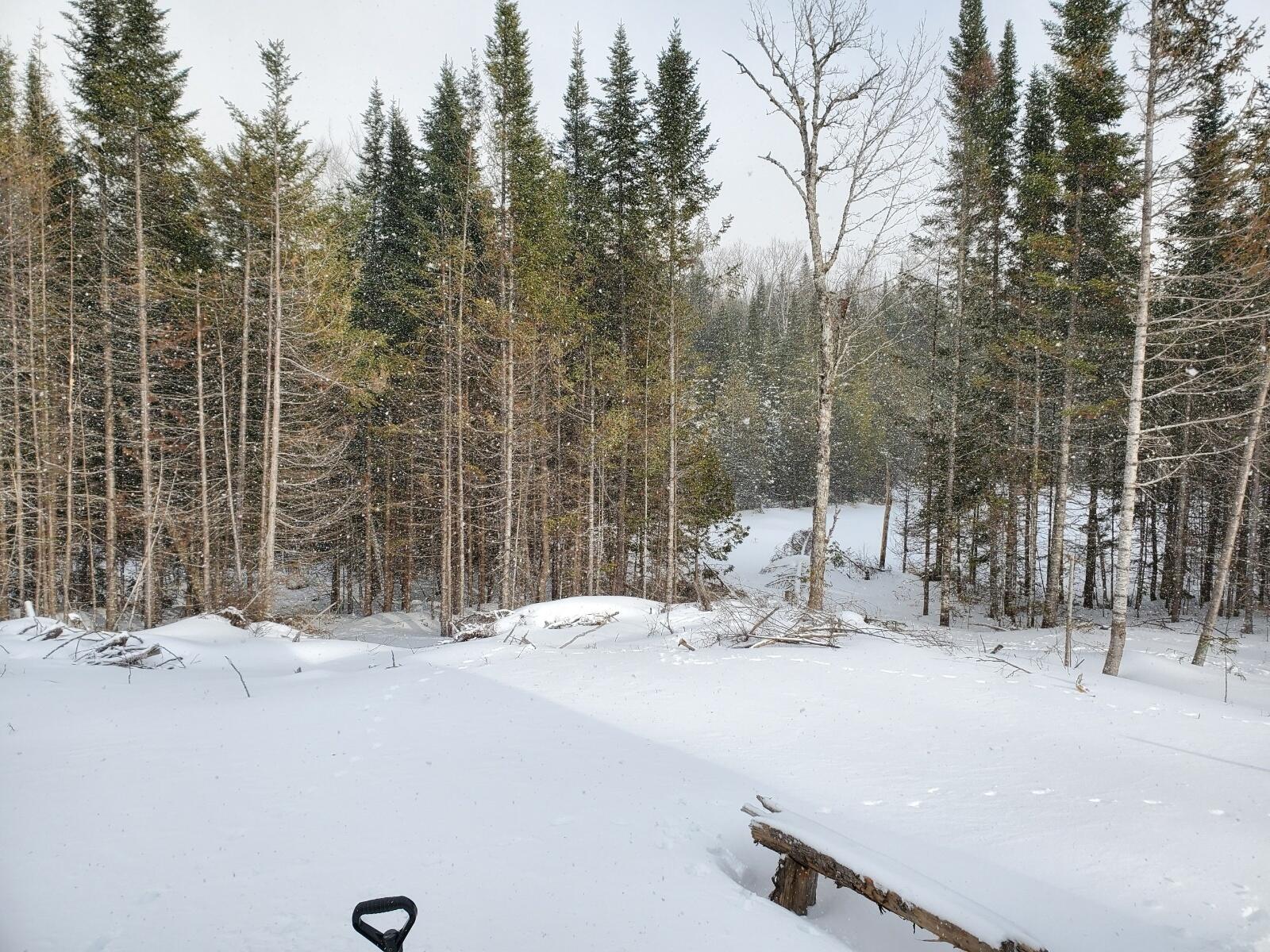 60 Osgood Road Carroll Plt, ME 04487 - Photo 14 of 15 Resized_Resized_20200228_154908