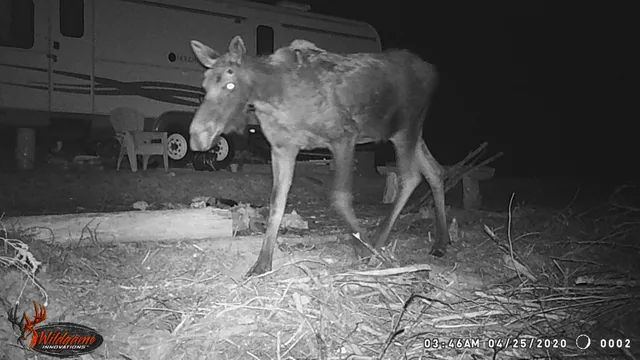 $89,900 | 60 Osgood Road, Carroll Plt, ME 04487