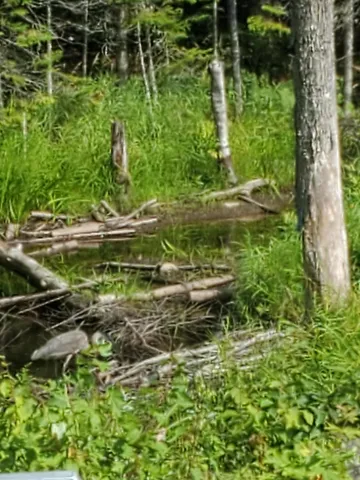 $89,900 | 60 Osgood Road, Carroll Plt, ME 04487