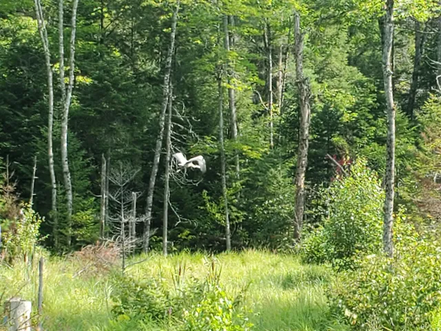 $89,900 | 60 Osgood Road, Carroll Plt, ME 04487