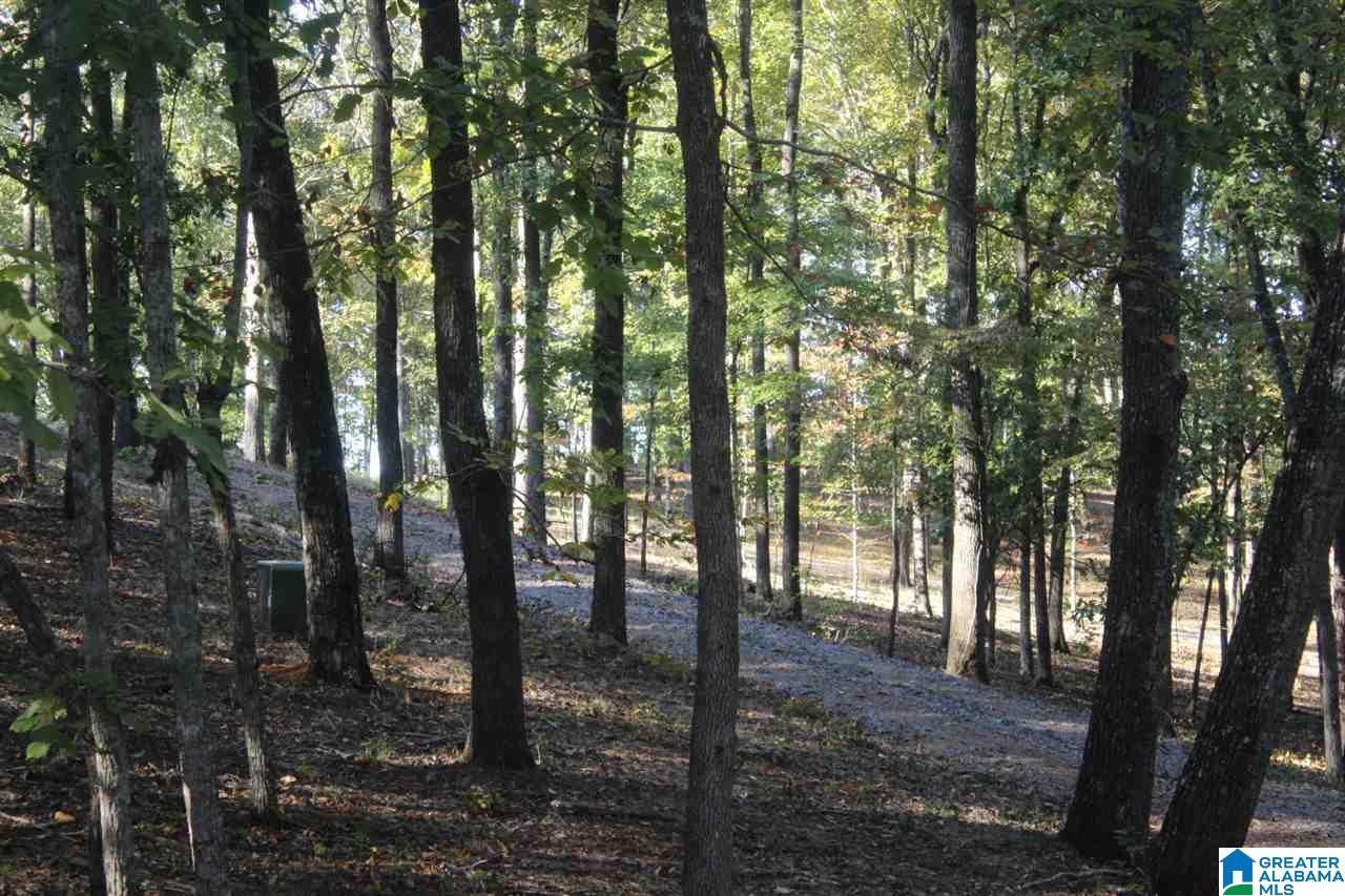 644 Washboard Road, Unit LOT 1 Columbiana, AL 35051 - Photo 5 of 9