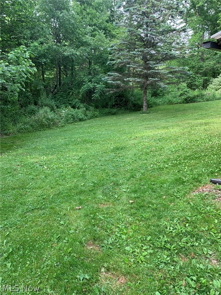 4254 John Thomas Road Diamond, OH 44412 - Photo 31 of 34 Gallery Image 31