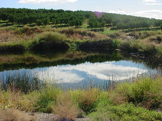 Nka Lombard Loop Road South Zillah, WA 98951 - Photo 8 of 12 a view of lake and green valley