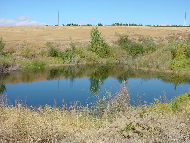 Nka Lombard Loop Road South Zillah, WA 98951 - Photo 9 of 12 a view of a lake with a mountain in the background