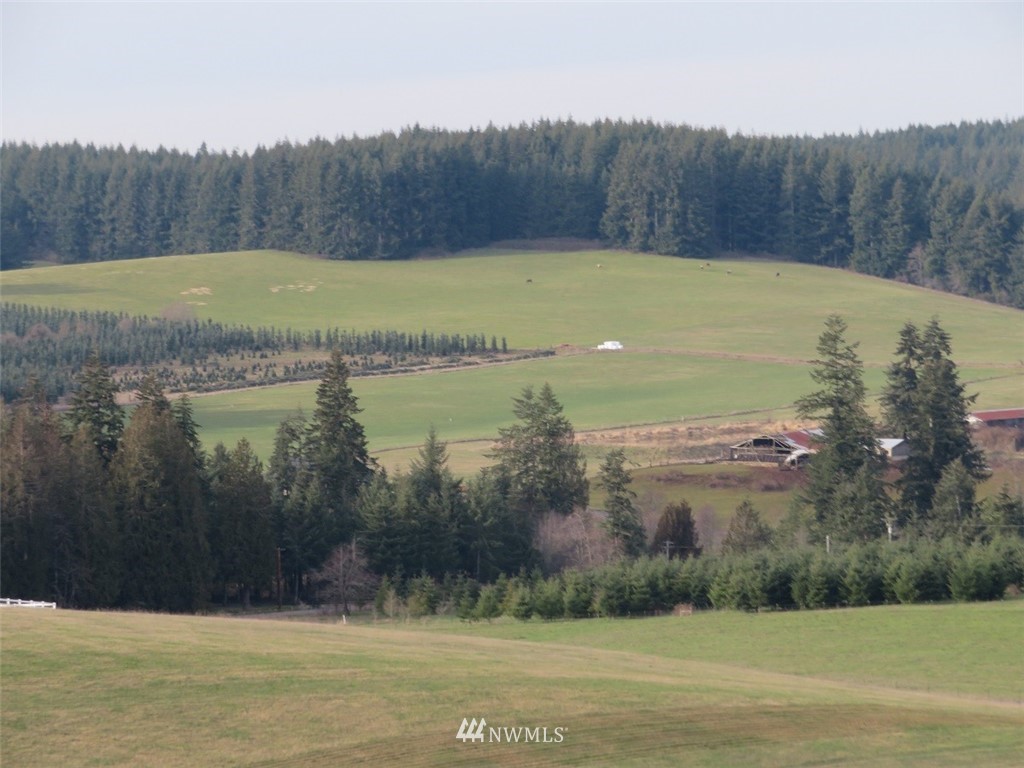 -lot B Lot B Mohoric Road Chehalis, WA 98532 - Photo 1 of 25