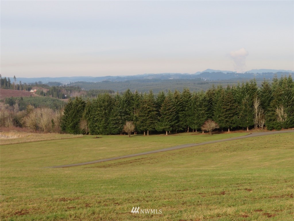 -lot B Lot B Mohoric Road Chehalis, WA 98532 - Photo 2 of 25