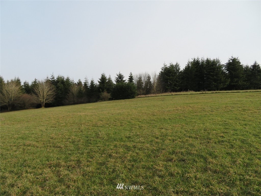 -lot B Lot B Mohoric Road Chehalis, WA 98532 - Photo 11 of 25