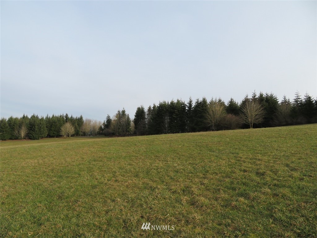 -lot B Lot B Mohoric Road Chehalis, WA 98532 - Photo 12 of 25