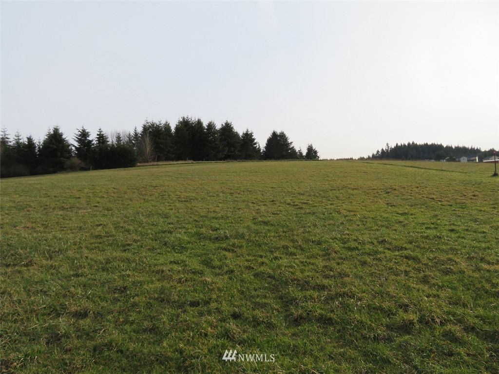 -lot B Lot B Mohoric Road Chehalis, WA 98532 - Photo 13 of 25
