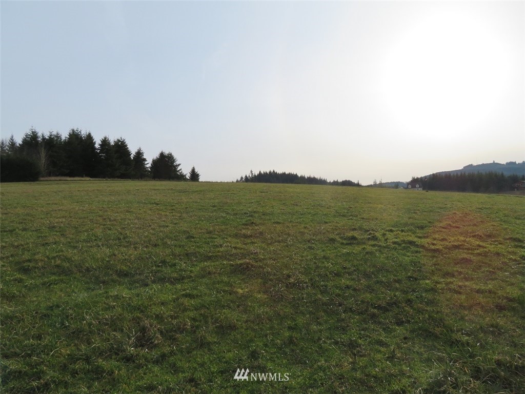 -lot B Lot B Mohoric Road Chehalis, WA 98532 - Photo 14 of 25
