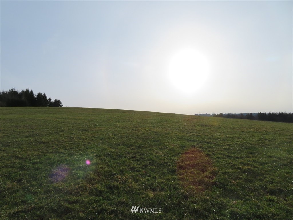 -lot B Lot B Mohoric Road Chehalis, WA 98532 - Photo 17 of 25