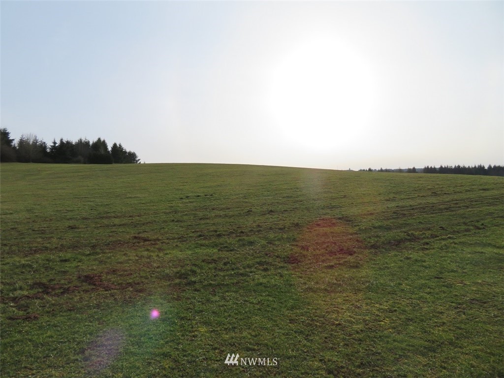 -lot B Lot B Mohoric Road Chehalis, WA 98532 - Photo 18 of 25