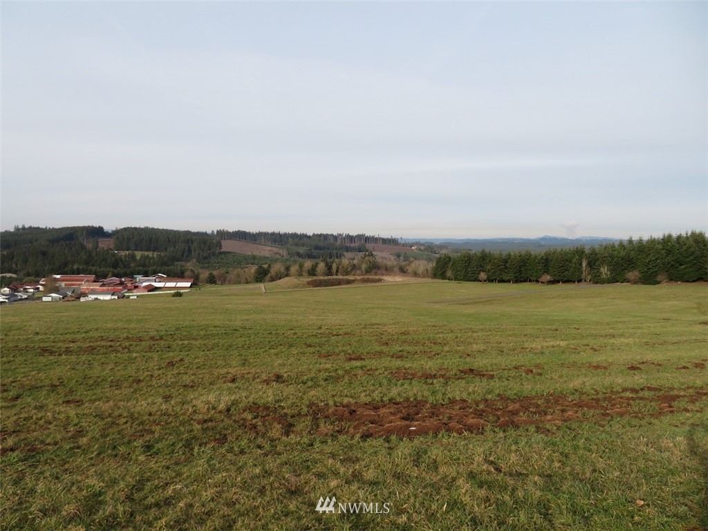 -lot B Lot B Mohoric Road Chehalis, WA 98532 - Photo 19 of 25