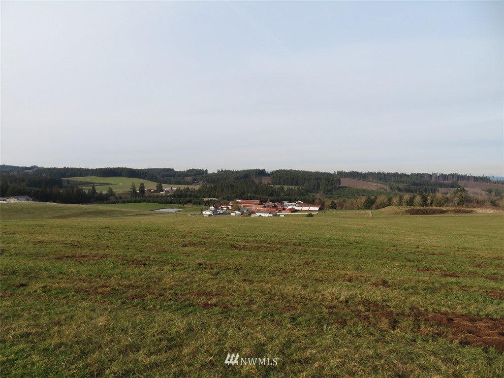 -lot B Lot B Mohoric Road Chehalis, WA 98532 - Photo 20 of 25