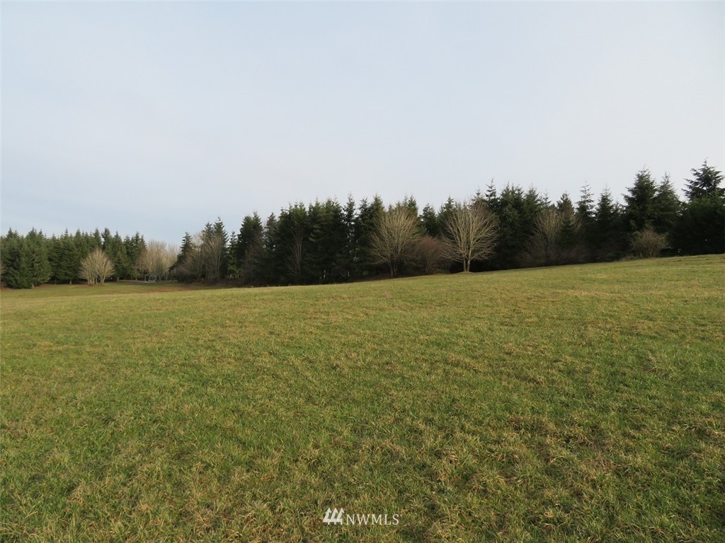 -lot B Lot B Mohoric Road Chehalis, WA 98532 - Photo 3 of 25