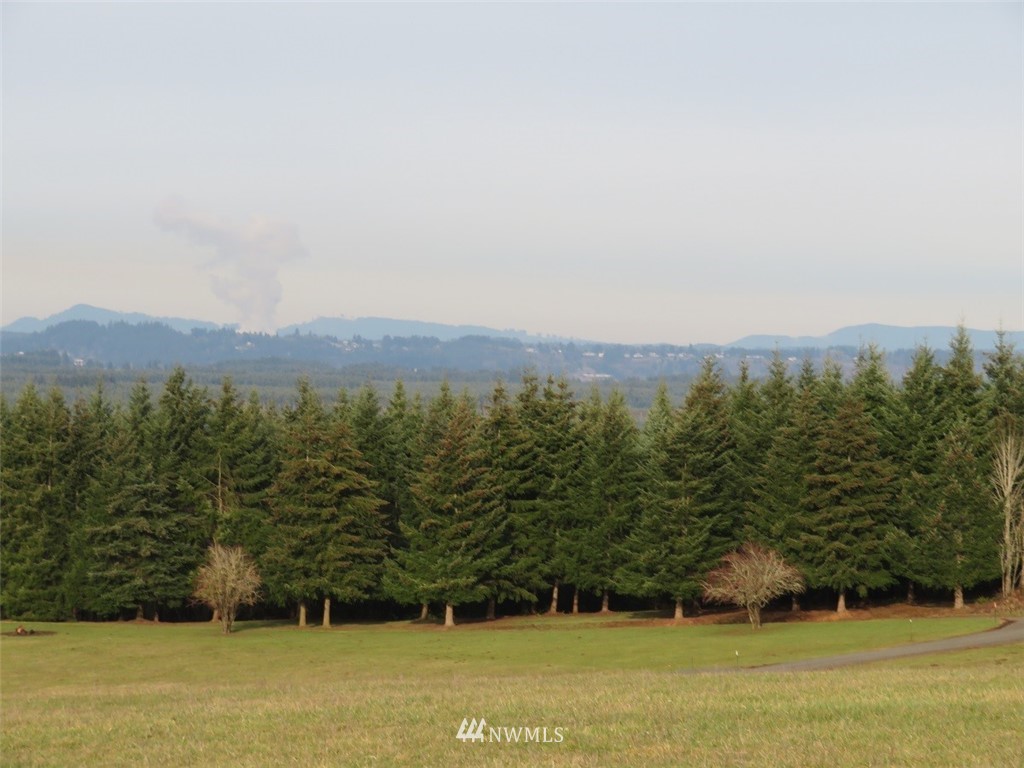 -lot B Lot B Mohoric Road Chehalis, WA 98532 - Photo 22 of 25