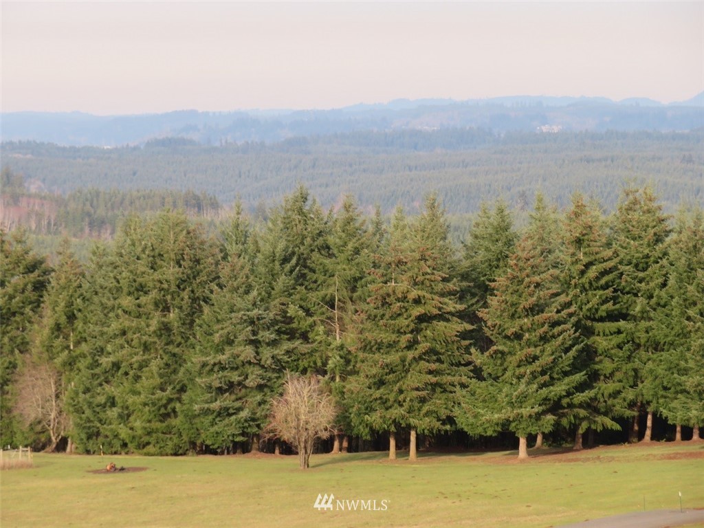-lot B Lot B Mohoric Road Chehalis, WA 98532 - Photo 23 of 25