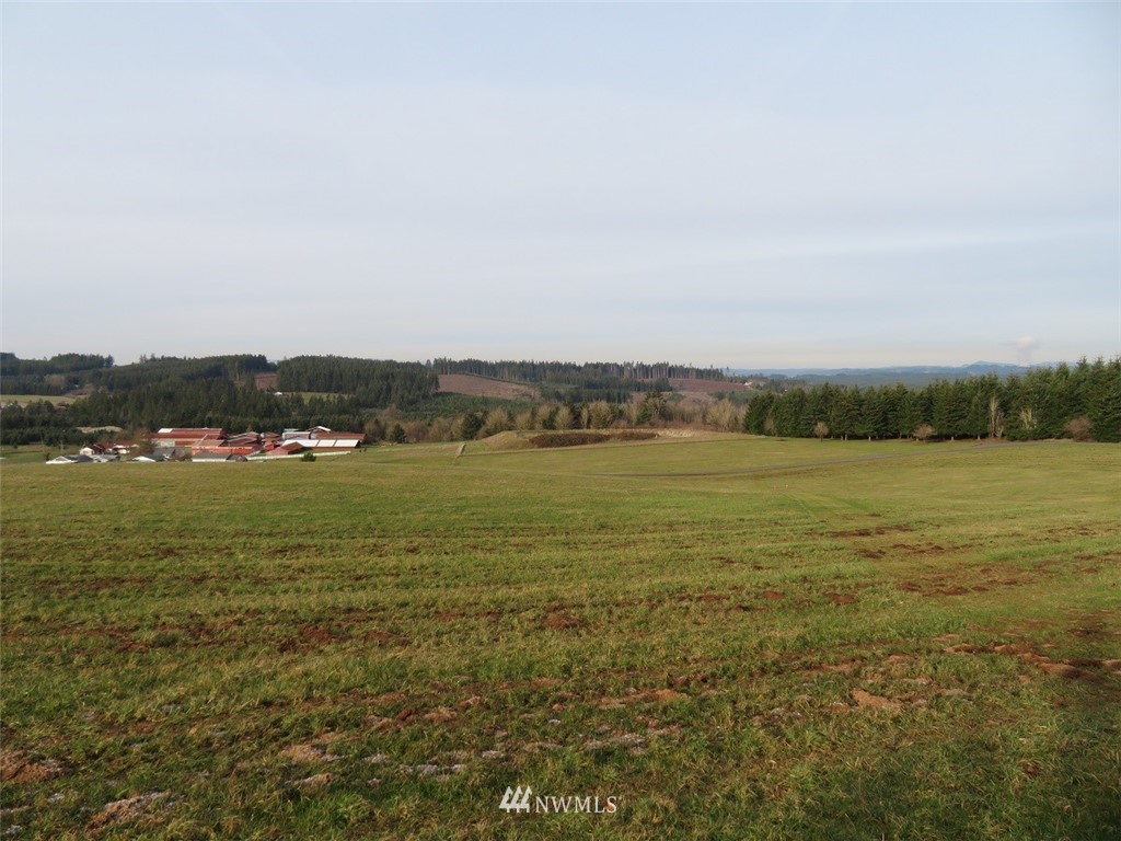 -lot B Lot B Mohoric Road Chehalis, WA 98532 - Photo 24 of 25