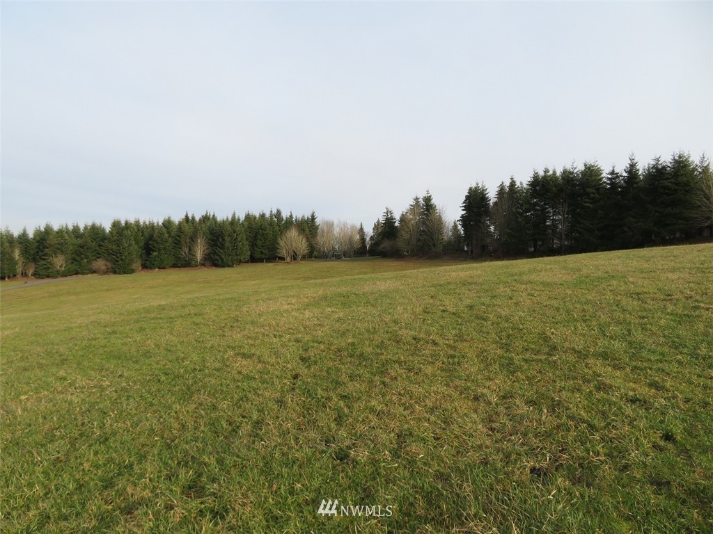 -lot B Lot B Mohoric Road Chehalis, WA 98532 - Photo 4 of 25