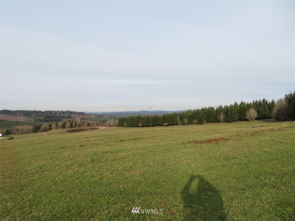 -lot B Lot B Mohoric Road Chehalis, WA 98532 - Photo 6 of 25