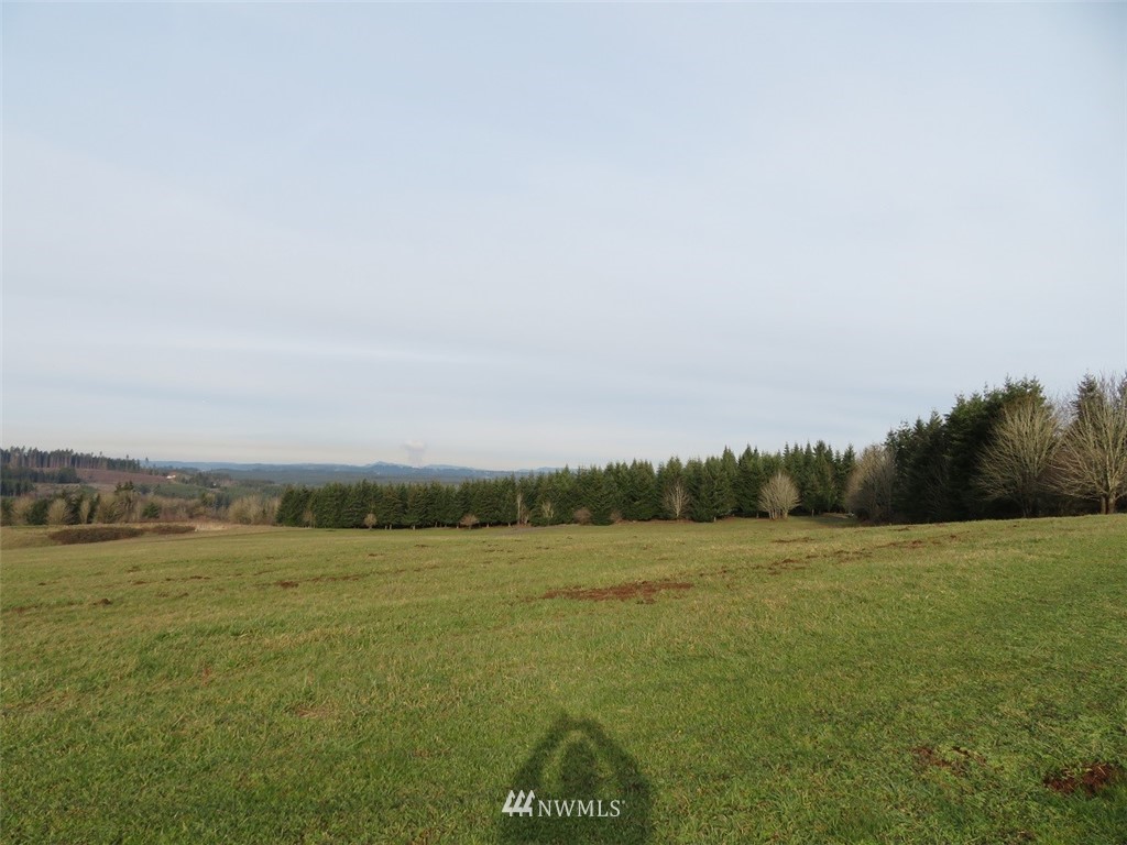 -lot B Lot B Mohoric Road Chehalis, WA 98532 - Photo 8 of 25