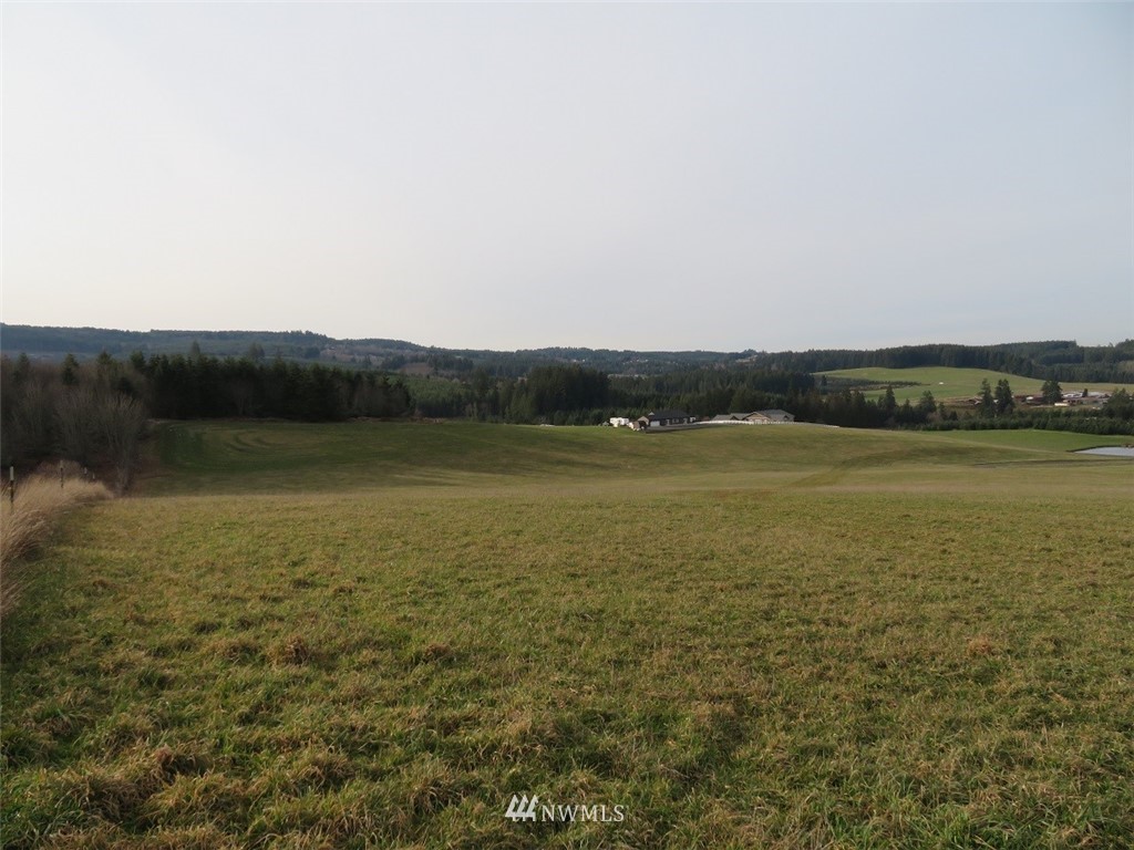 -lot B Lot B Mohoric Road Chehalis, WA 98532 - Photo 9 of 25