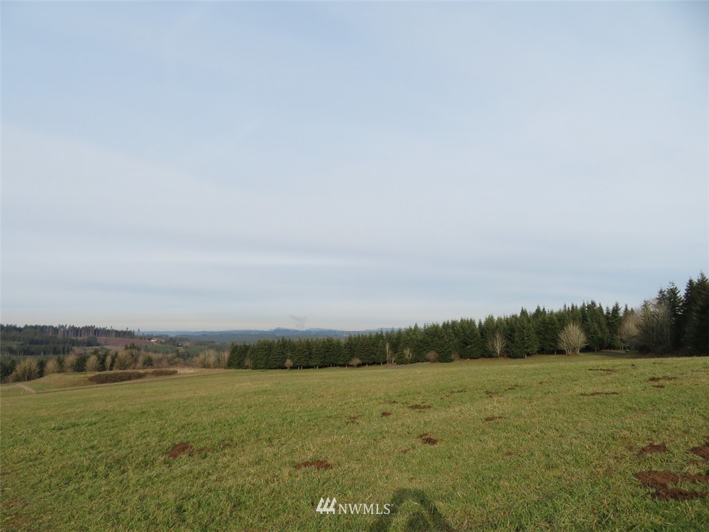 -lot B Lot B Mohoric Road Chehalis, WA 98532 - Photo 10 of 25