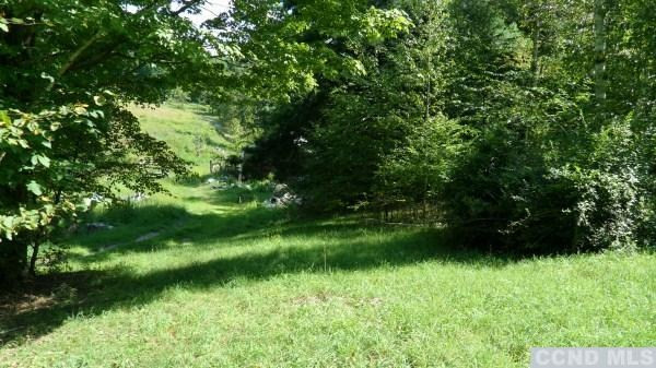 41 Ronadale Road Taghkanic, NY 12521 - Photo 3 of 3 a view of a garden
