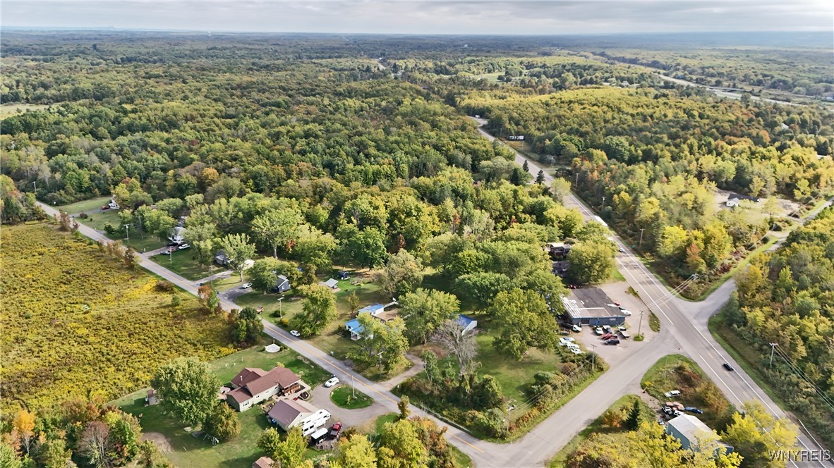 9975 Hardpan Road Evans, NY 14006 - Photo 41 of 45