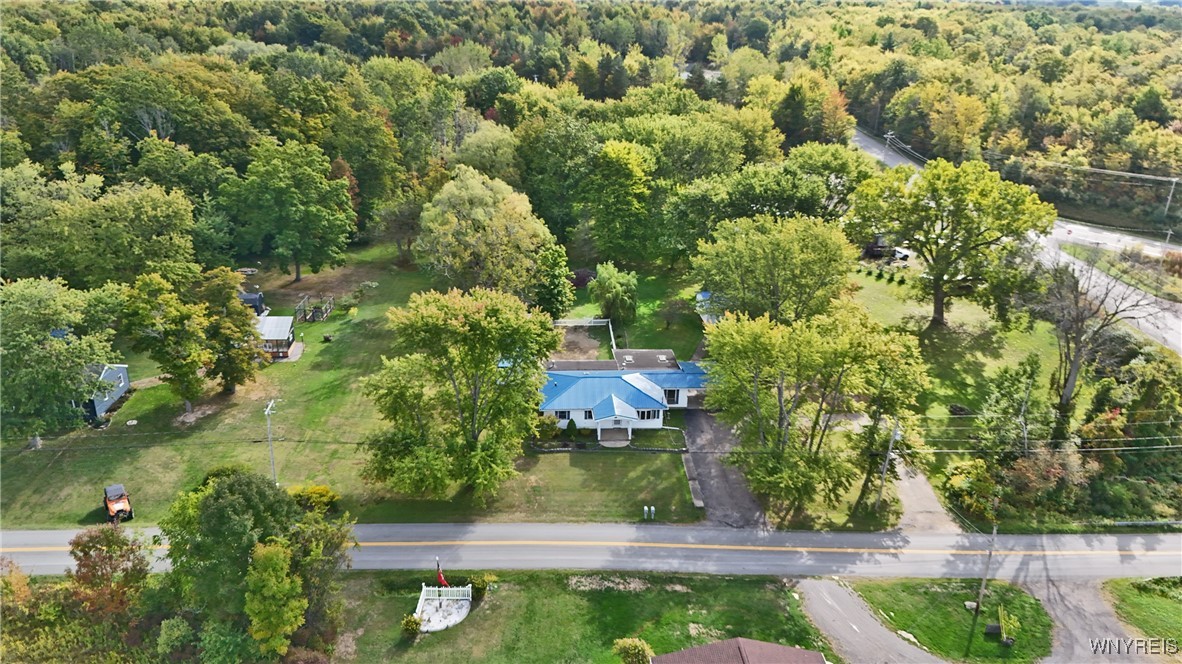 9975 Hardpan Road Evans, NY 14006 - Photo 43 of 45