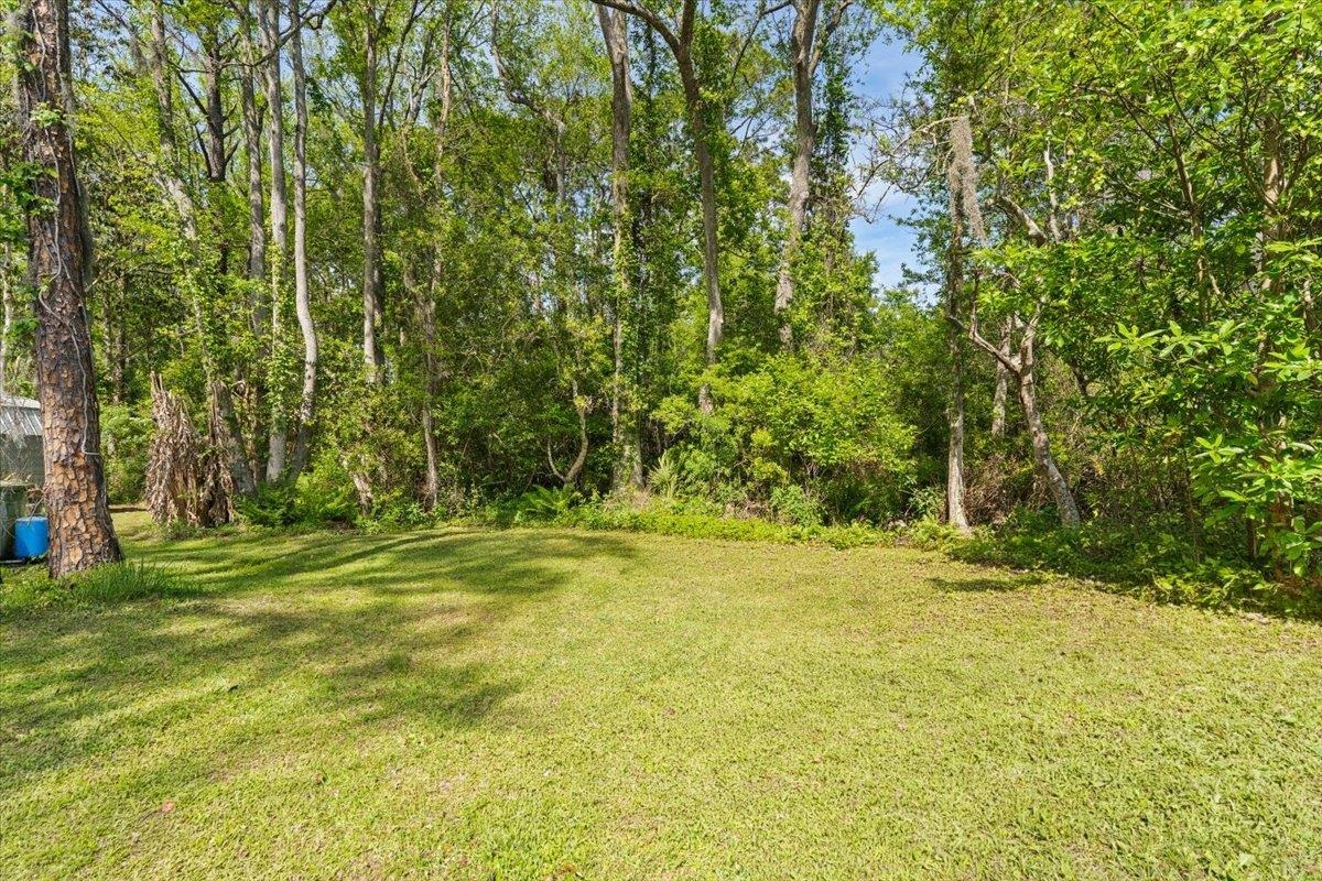 6860 Catlett Road St. Augustine, FL 32095 - Photo 26 of 36 View of green lawn