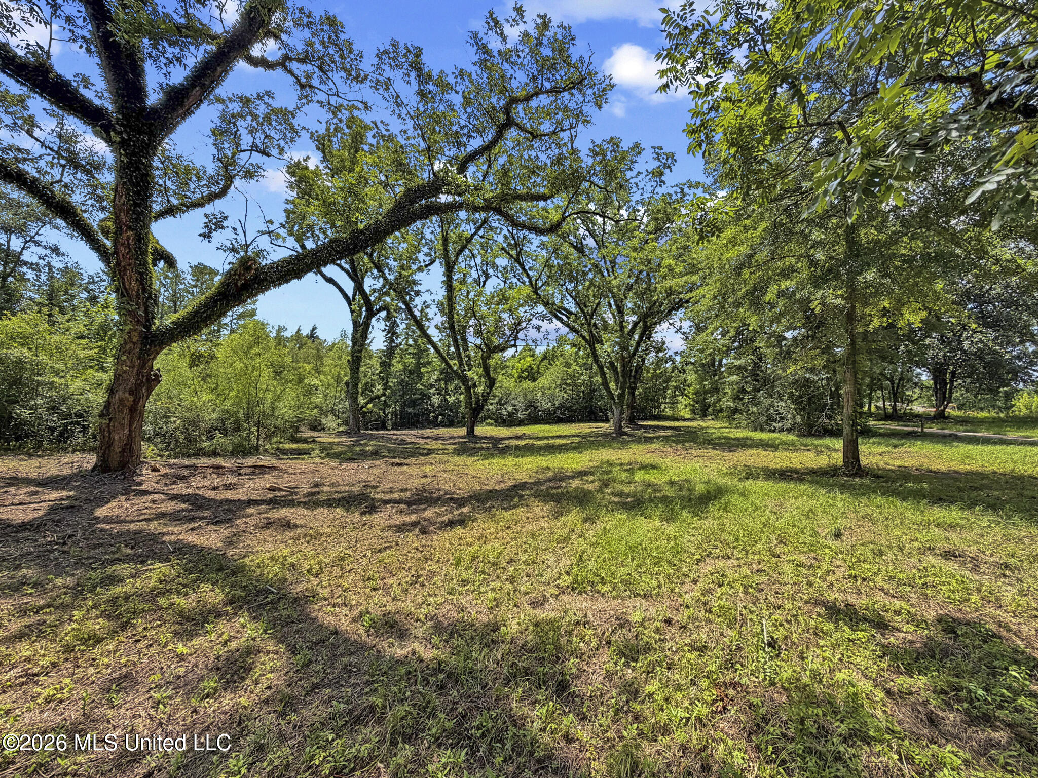 13 Co Road Louin, MS 39338 - Photo 6 of 29 IMG_3429
